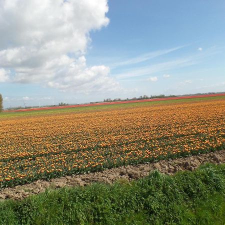 Bed En Breakfast En Bike Sommelsdijk Dış mekan fotoğraf
